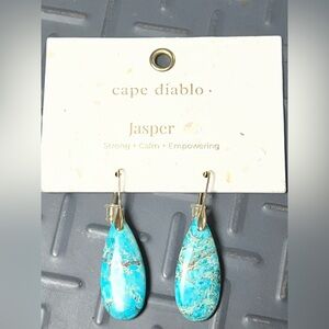 Cape Diablo Tibetan Energy Jasper Earrings NWT